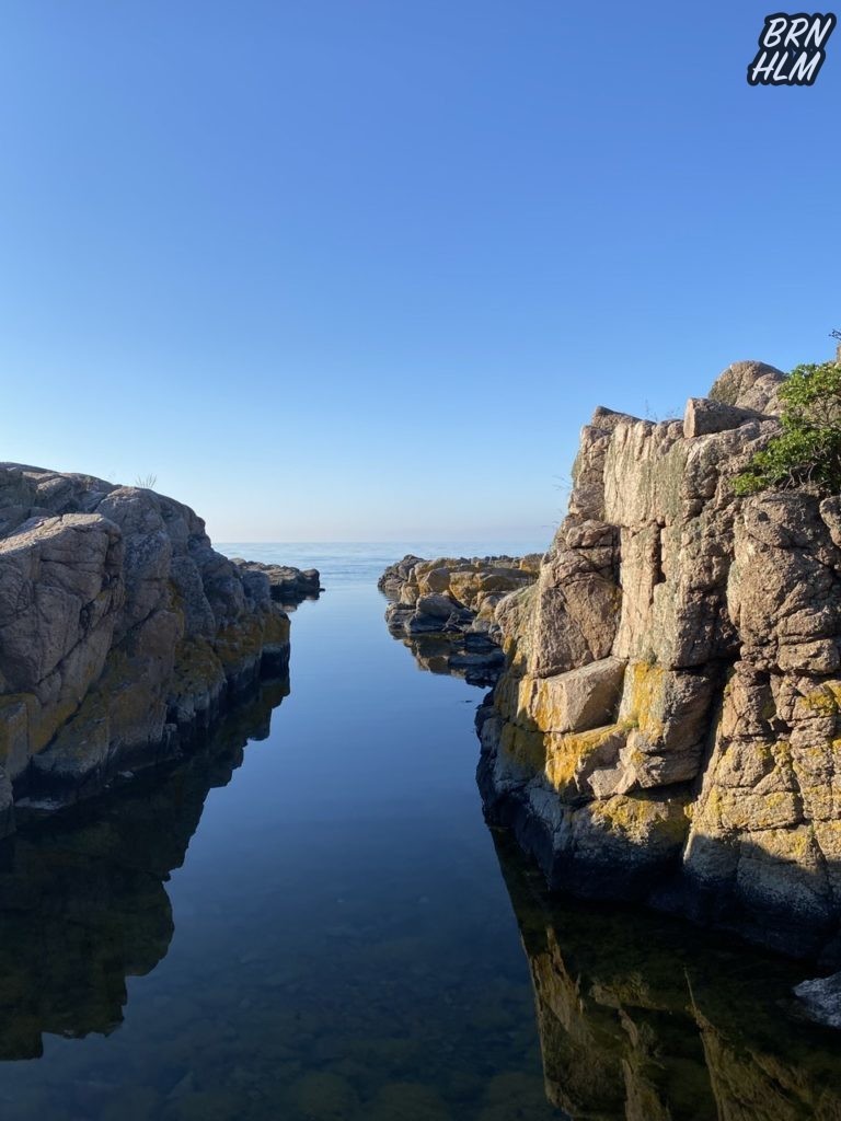 Sprækkedal i den Bornholmske klippekyst - 2020